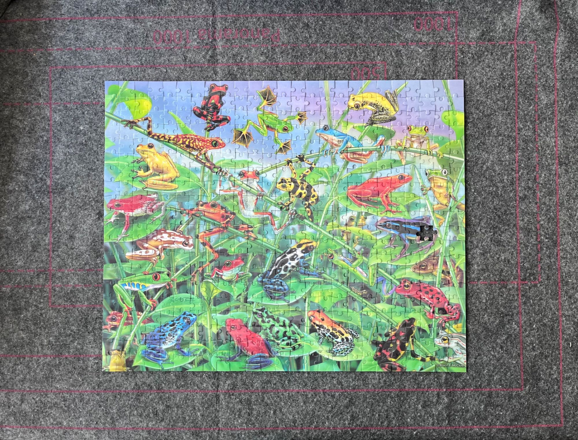 Trefl Visual Echo 3D puzzle 500 elementów brak 1 żaby