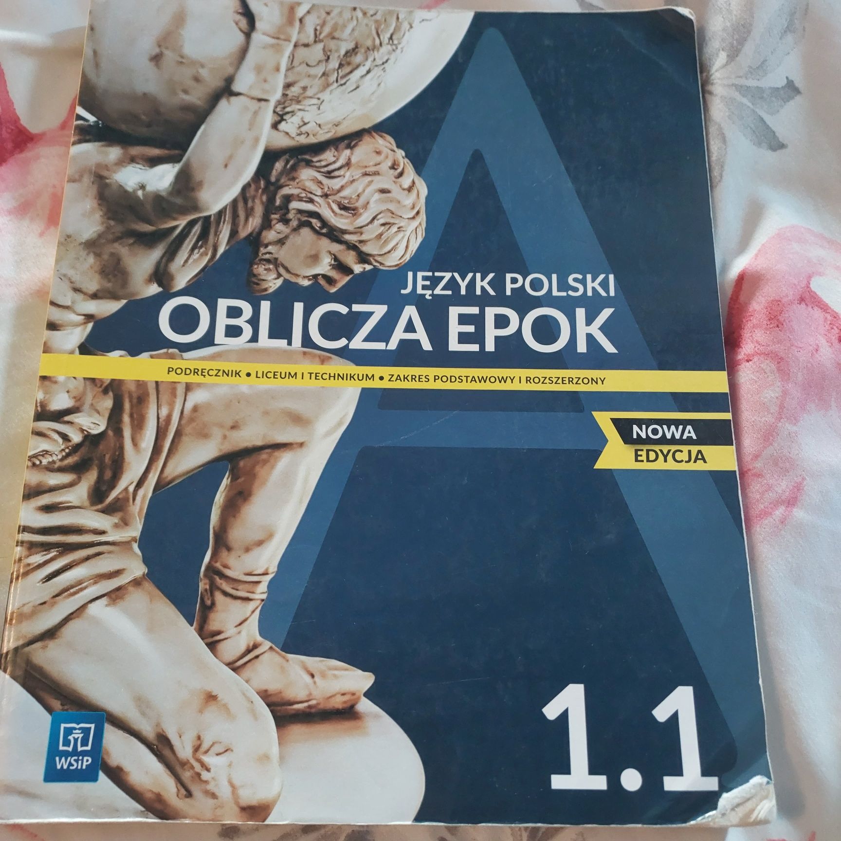Podręcznik j.polski 1.1