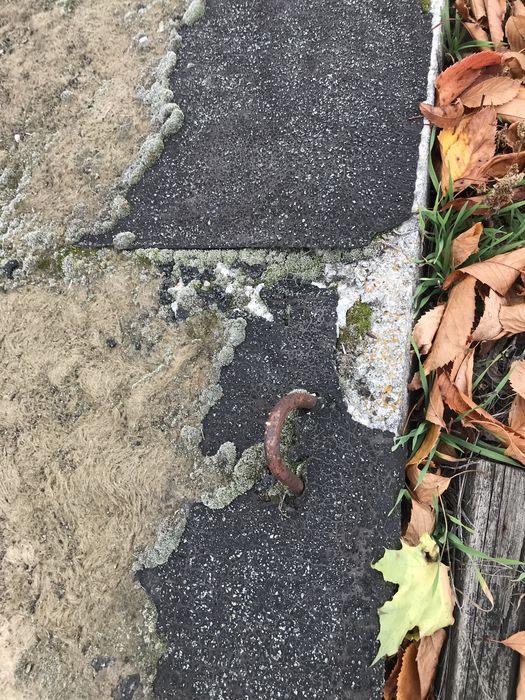 Продам Плита П-образна