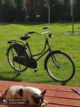Rower dziecięcy holenderka kola 24"