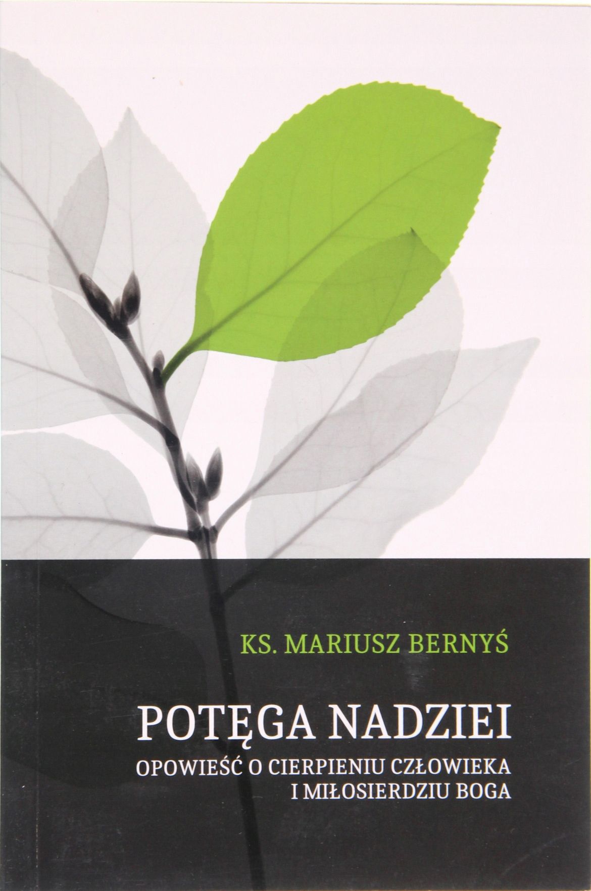 Potęga Nadziei Mariusz Bernyś