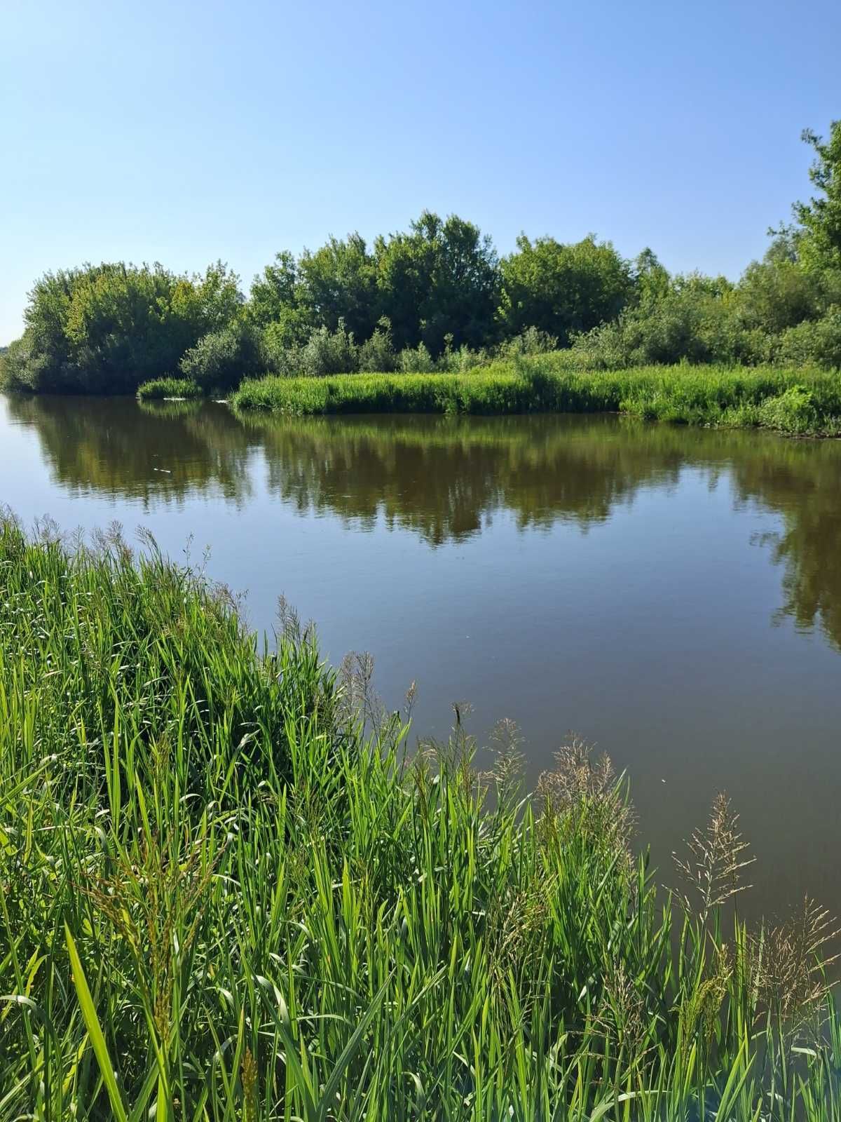 Дача на березі Тетерева, перша лінія.
