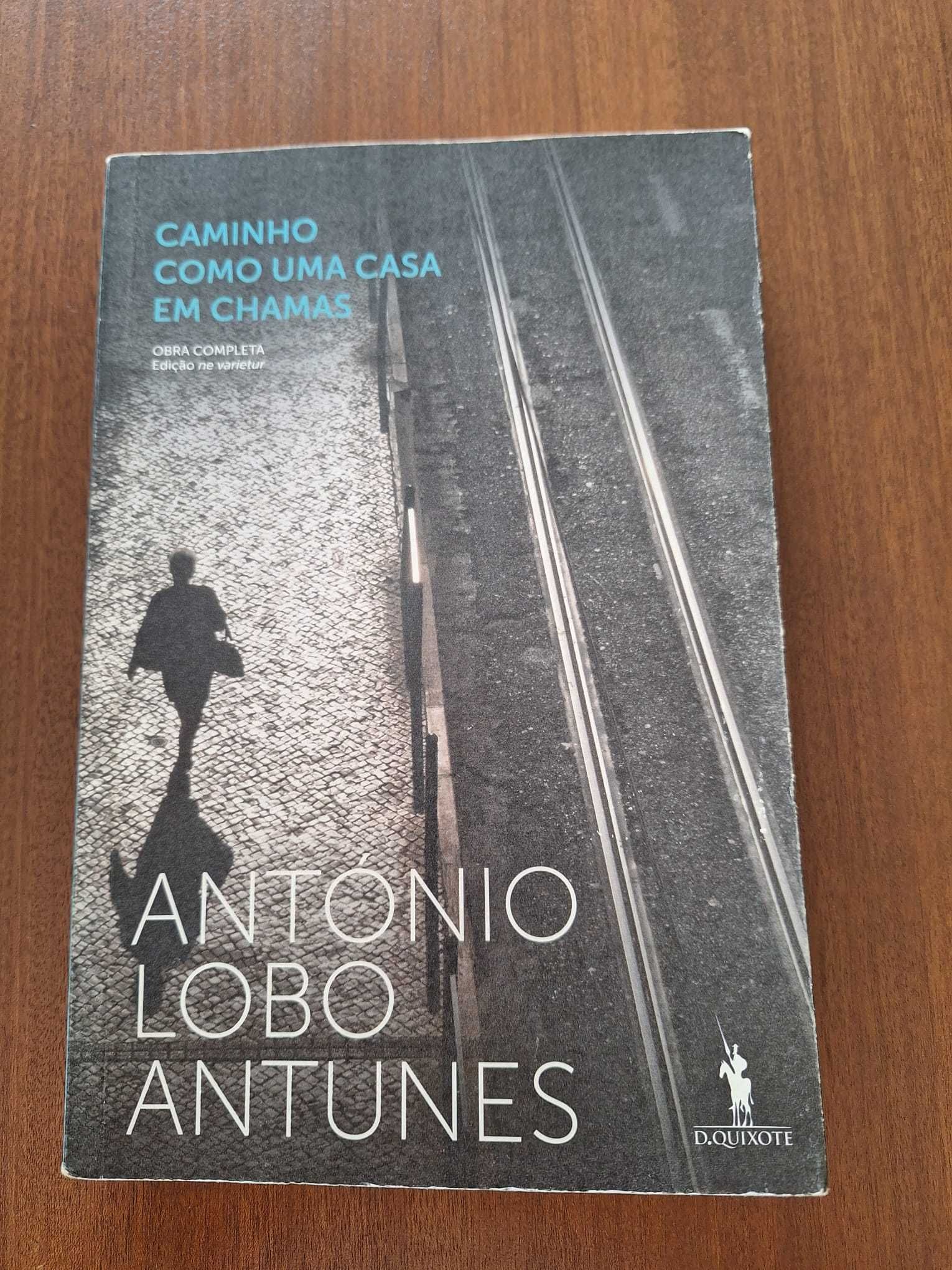 Livro - Caminho como uma casa em chamas de António Lobo Antunes