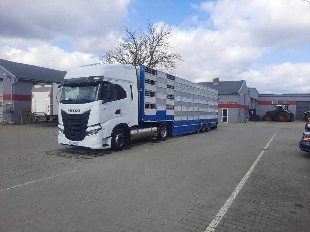 Iveco S-WAY, LNG, 2021r