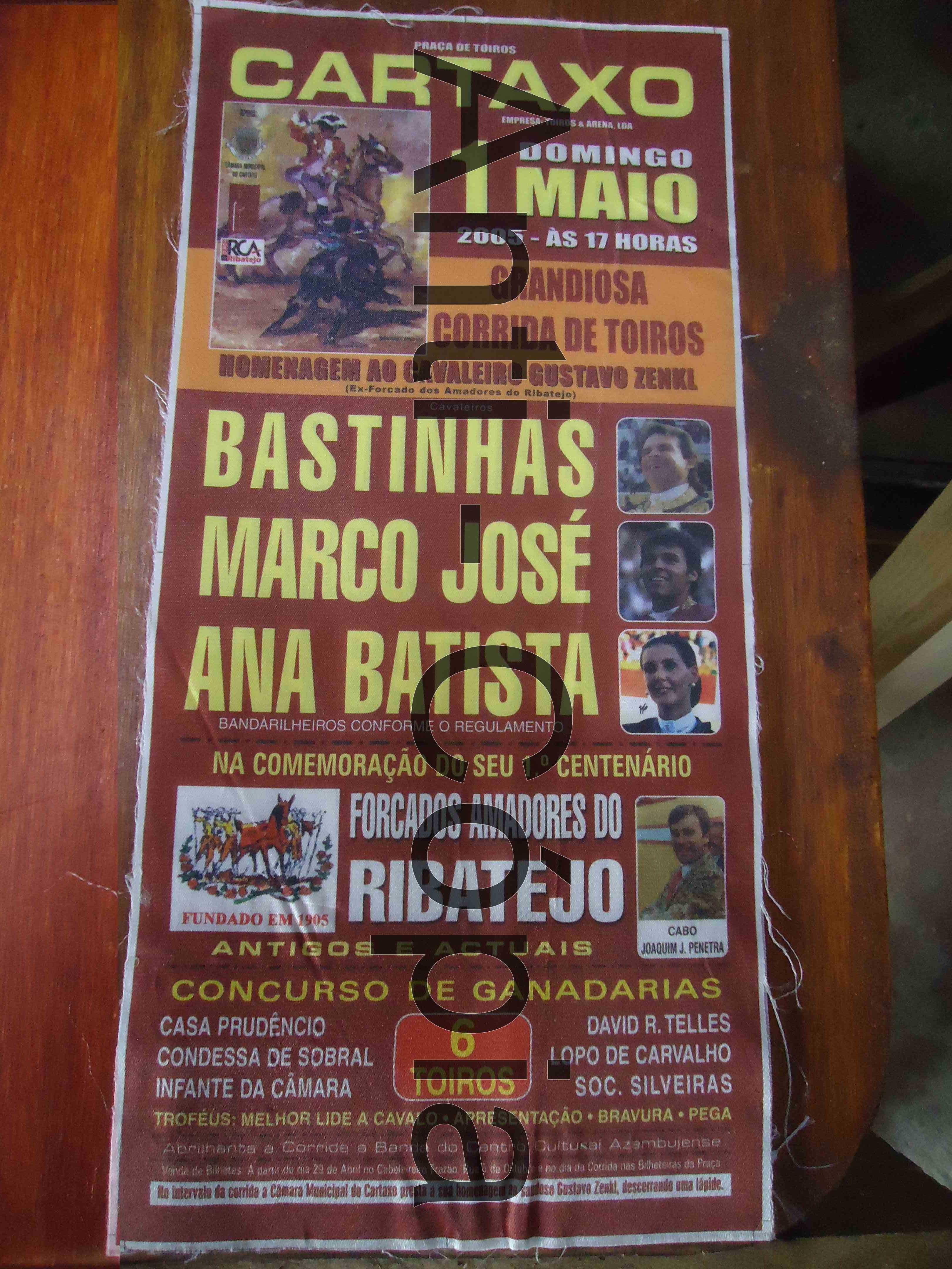 Toiros - Programas em Seda 1