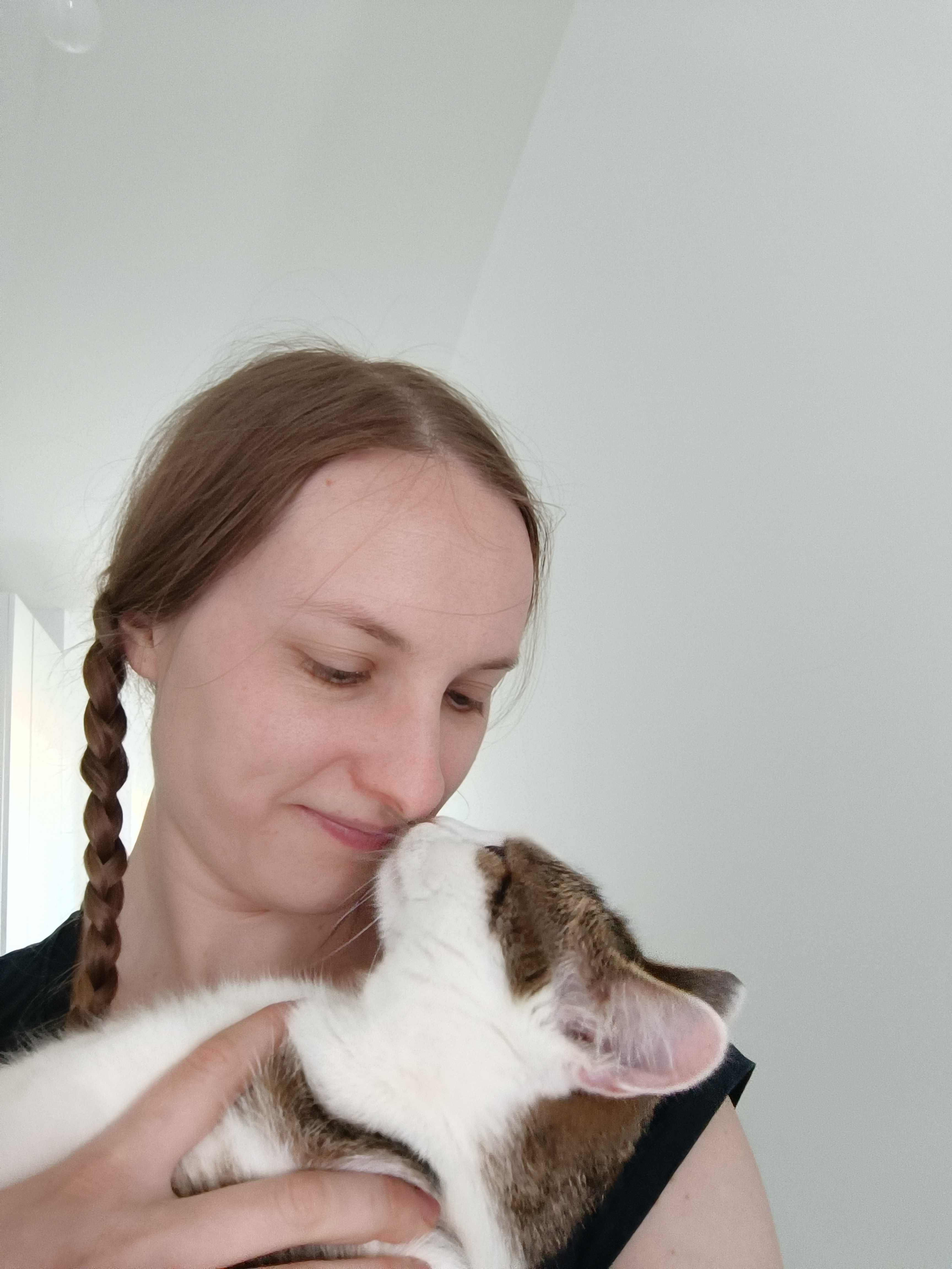Catsitter | Opieka nad kotem w domu Właściciela | Koło, Konin, okolice