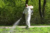 Odkomarzanie oprysk na kleszcze zwalczanie komarów Płock