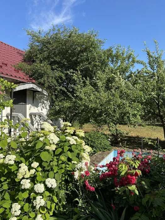 Будинок 215 м2 та земельна ділянка 20 соток в Новоселиці