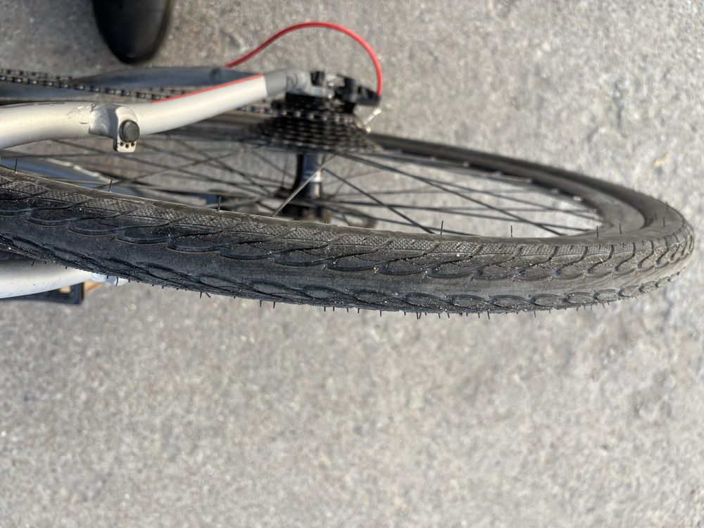 Piękny focus arriba gravel fitness
