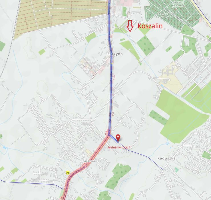 Choinki Choinka Świerk Srebrny Jodła Kaukaska  Drzewko Świąteczne