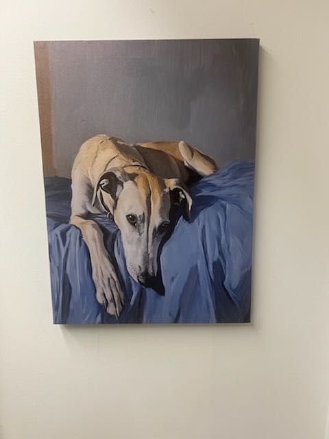 Wydruk na płótnie , whippet , charcik włoski