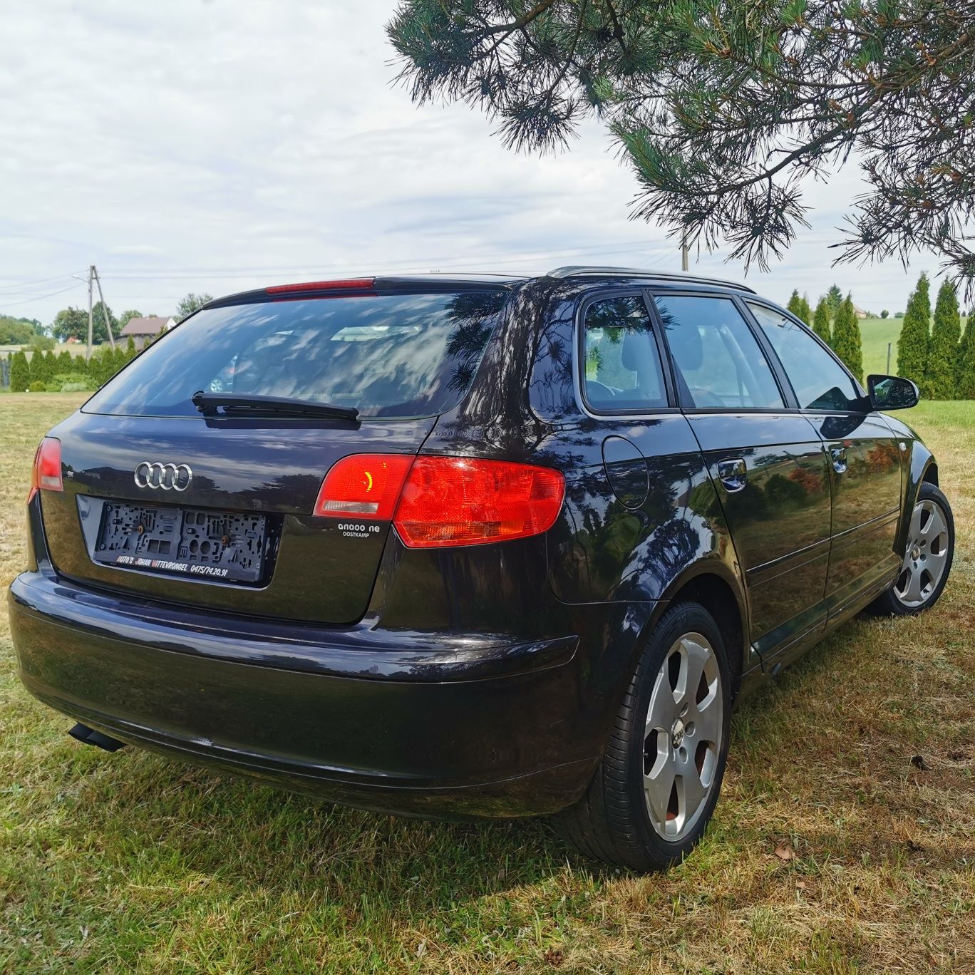 Audi A3 8P 2006r 1.9TDI 105KM  5 drzwi
