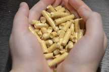 Pellet 690 zł Barlinek Ogrzewanie Olczyk Lava Pelleton Pelet Polski !!