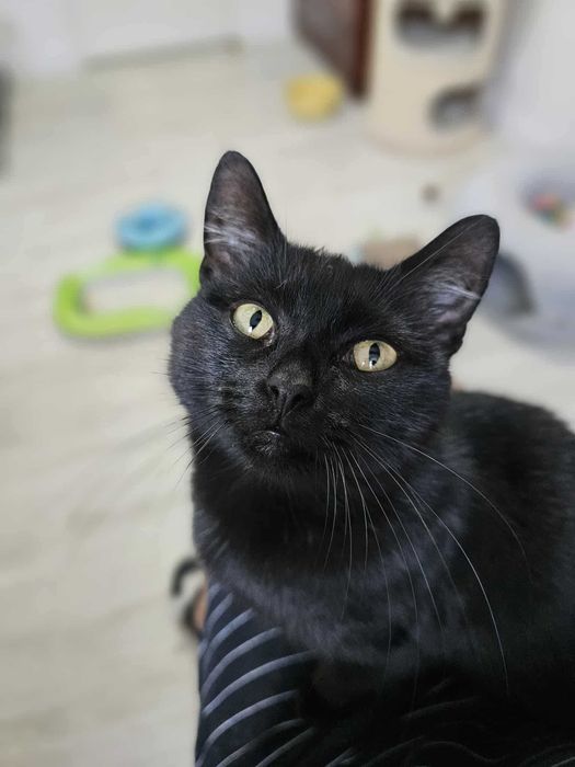 Chryzia z Fundacji Miasto Kotów