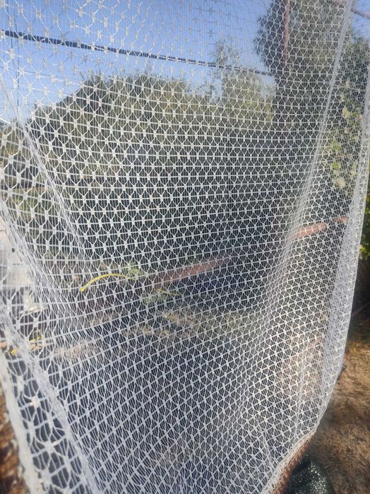 тюль 123х96          .