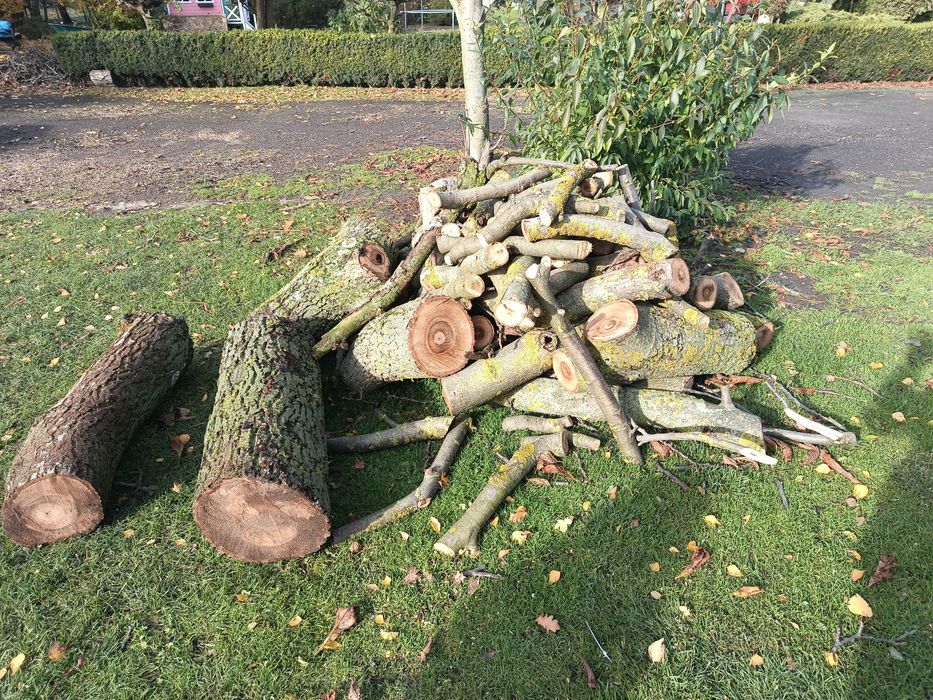 Drewno opał  orzech