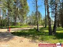 Zadrzewiona działka Władysławowo 1209m2