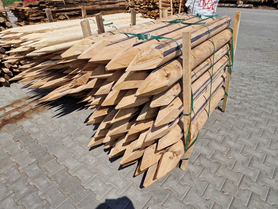 Paliki melioracyjne, pastuch dębowe dł 1,0-3,0m DĄB DAB DrewKom