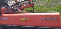 Mulczer Kuhn TBES 262