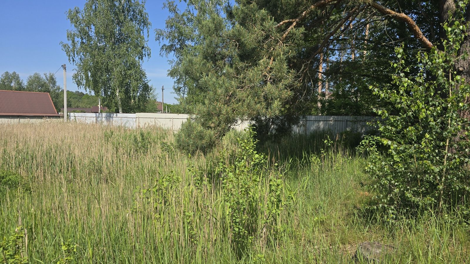Продається ділянка Тетерівка, з боку річки (26134436)