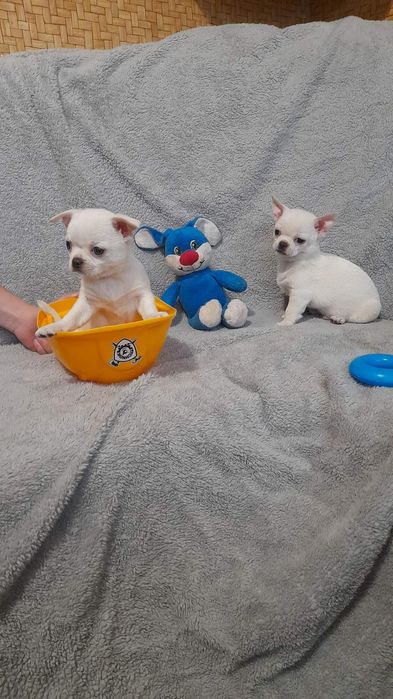 Щастя таки існує