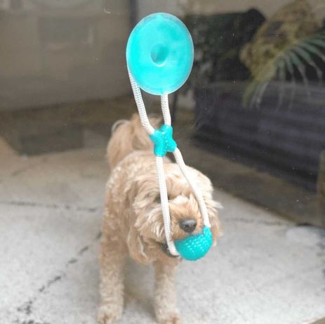 Zabawka dla psa z przyssawką interaktywną karma dla psa NOWA OKAZJA