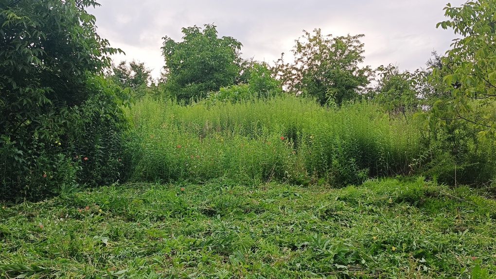 Koszenie trawy kosami spalinowymi, koszenie przydomowych trawników