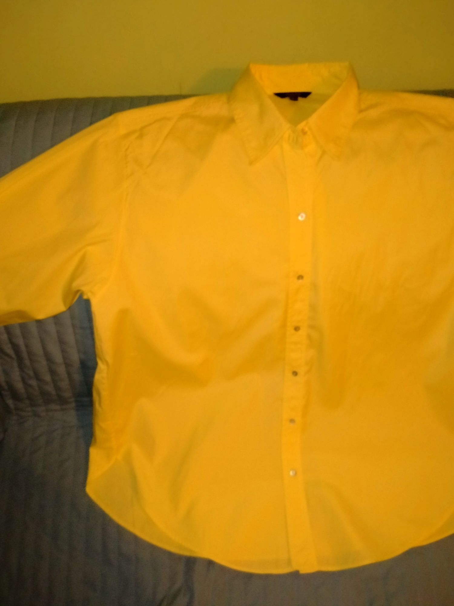 Koszula męska Massimo Dutti r.L