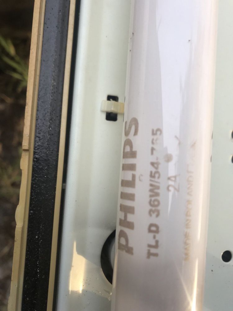 Лампы дневного света Philips Филипс Філіпс