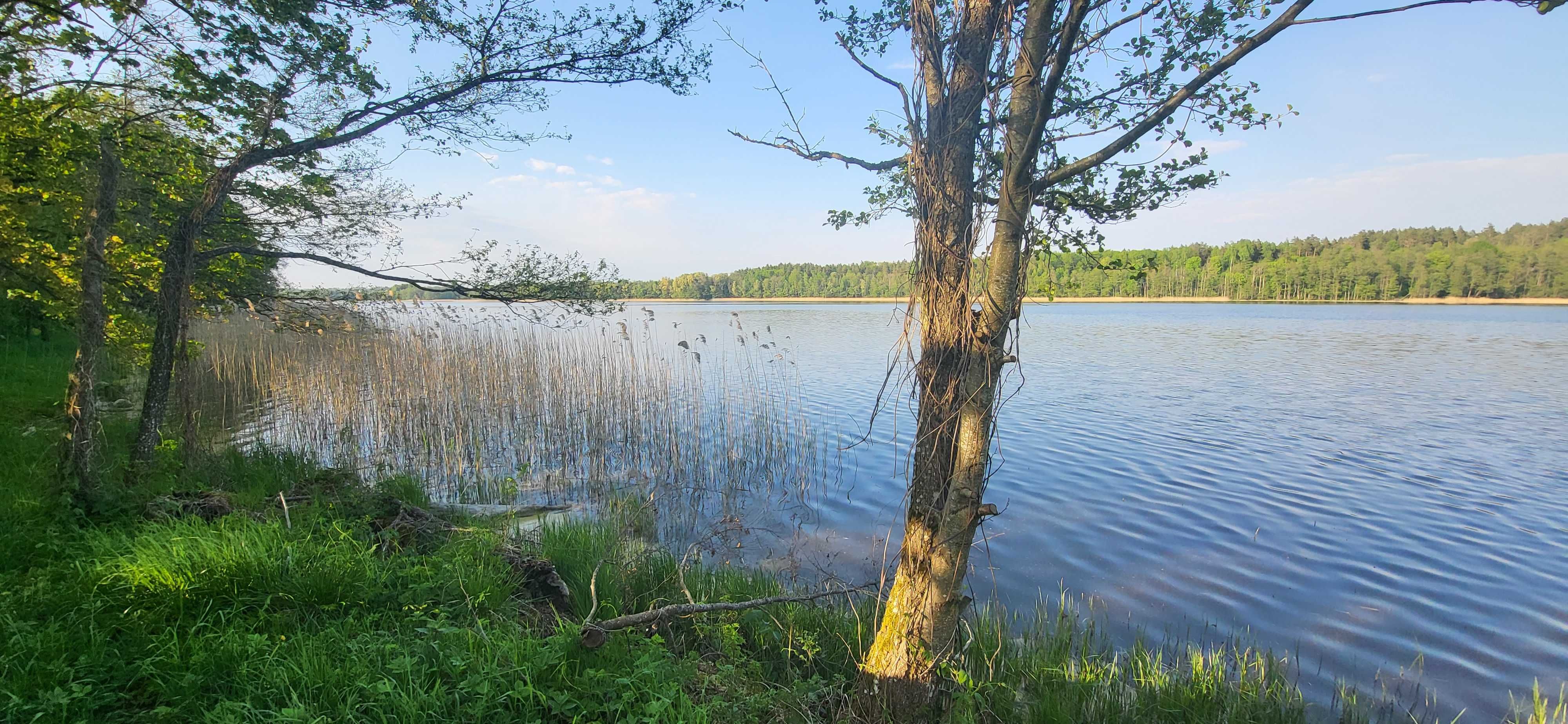 Działka z linią brzegową | Mazury - Gołdap