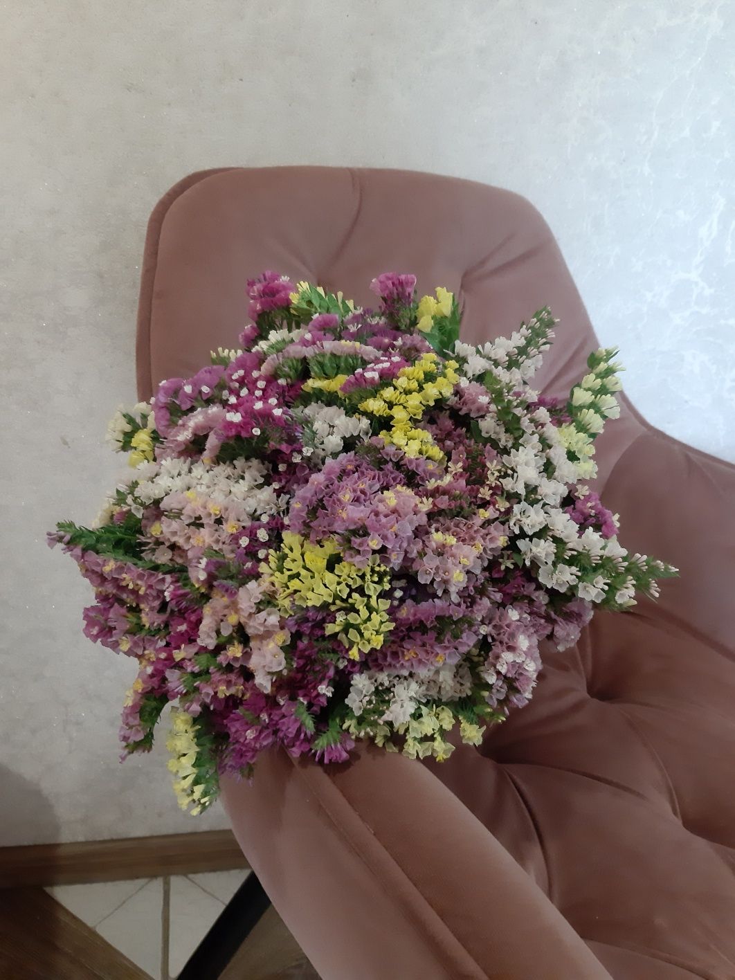 Кермек, статиця, сухоцвіти