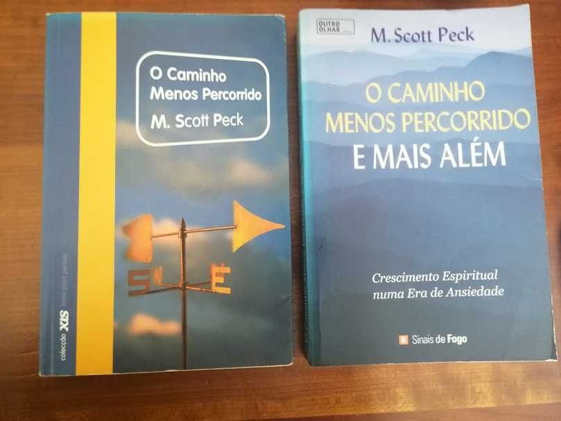 O caminho menos percorrido e o caminho  menos percorrido e mais além