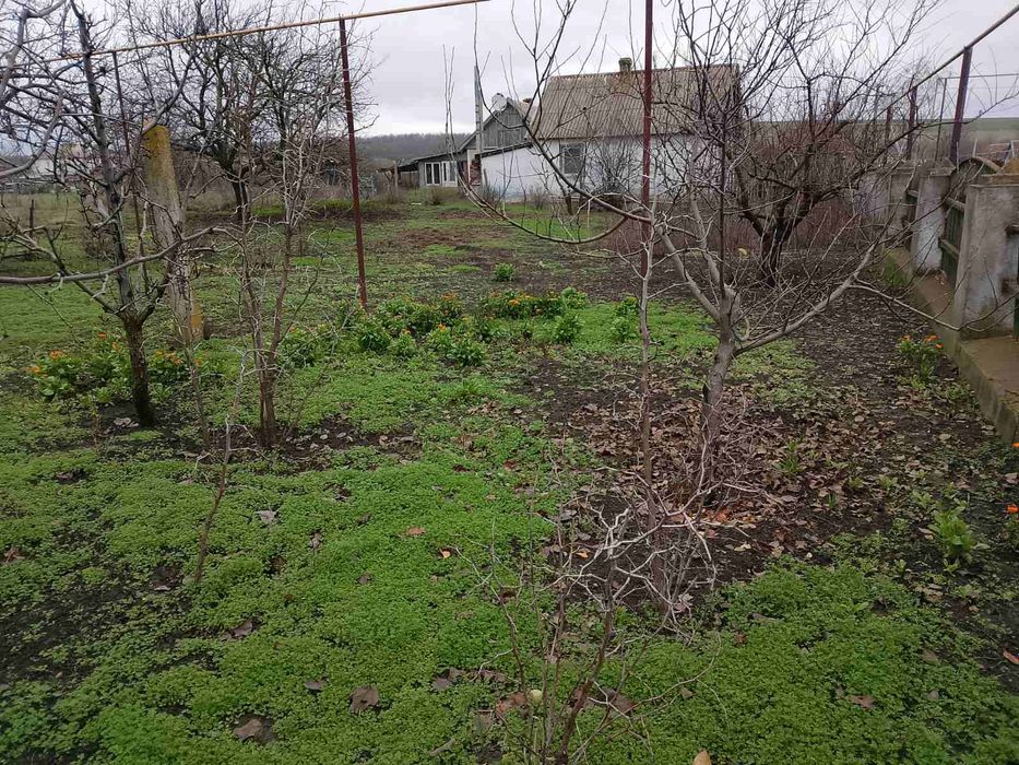 Продам дом в Цебриково