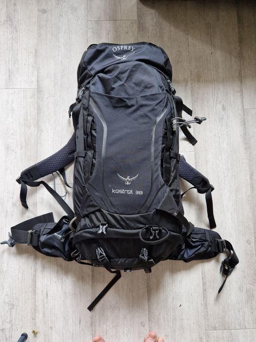 Osprey kestrel 38