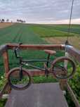 BMX bsd beverage (dirt,street,park,eclat,colony,cult, flybikes)