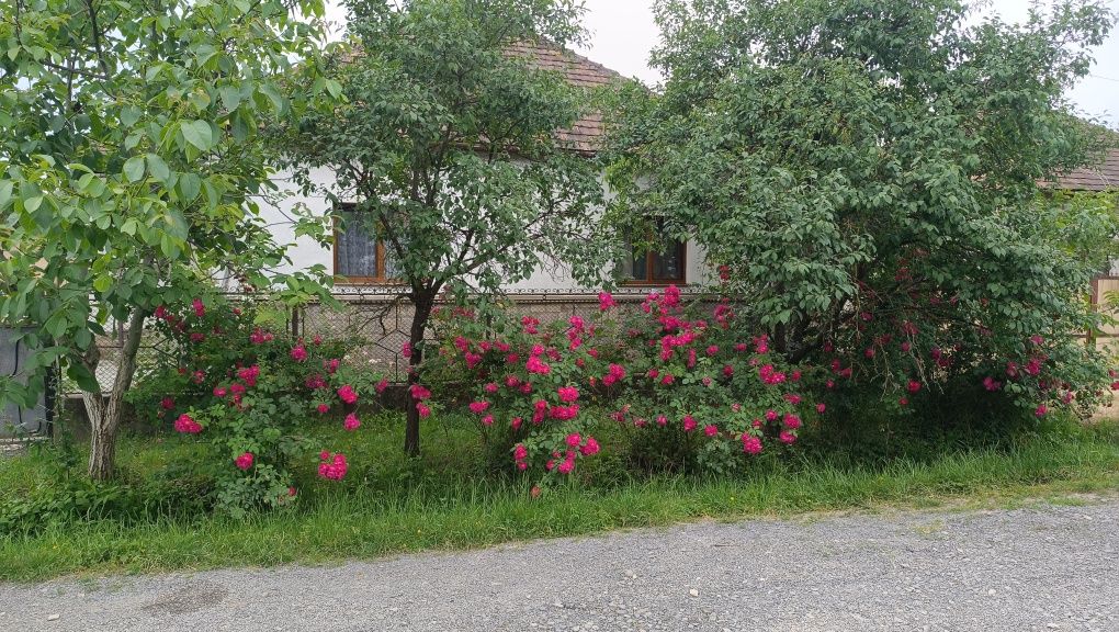 Будинок біля термальних басейнів