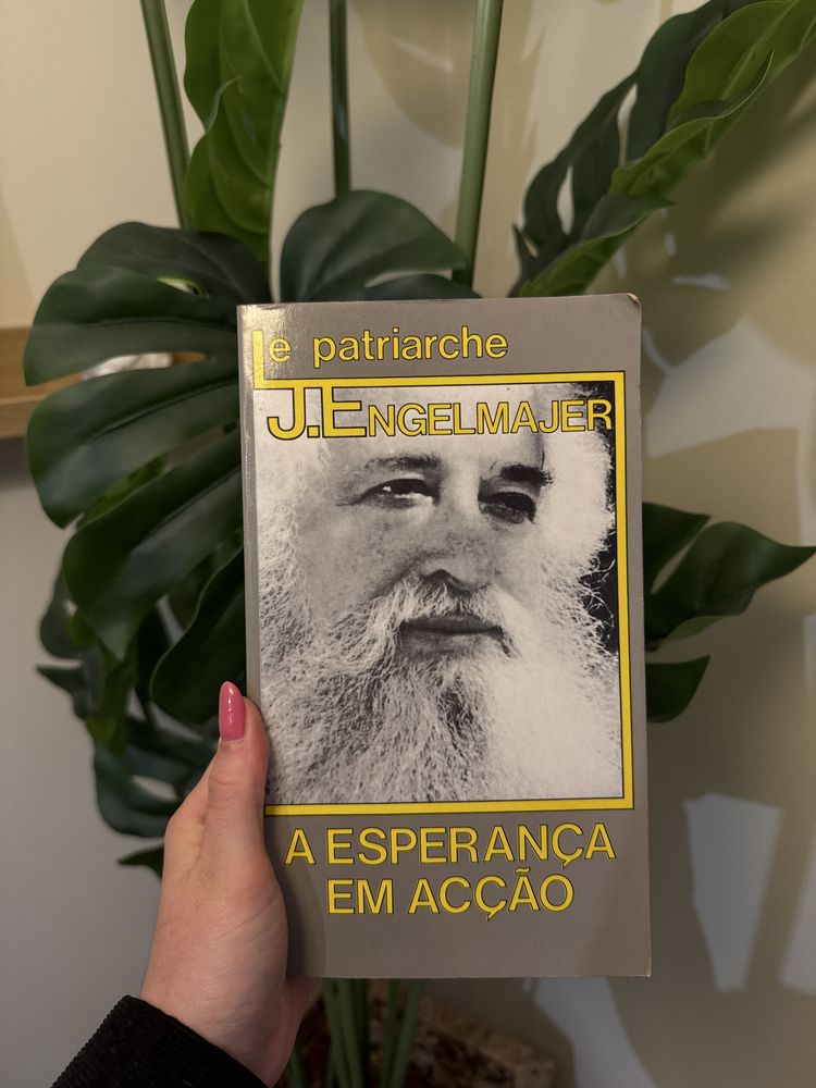 Livro A esperança em Ação - Lucien J. Engelmajer