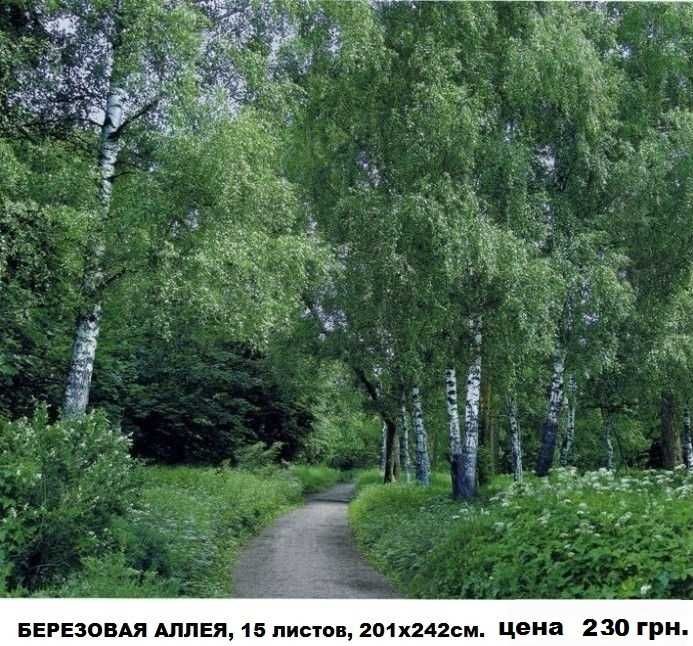 Фотообои глянцевые!  Шпалери.