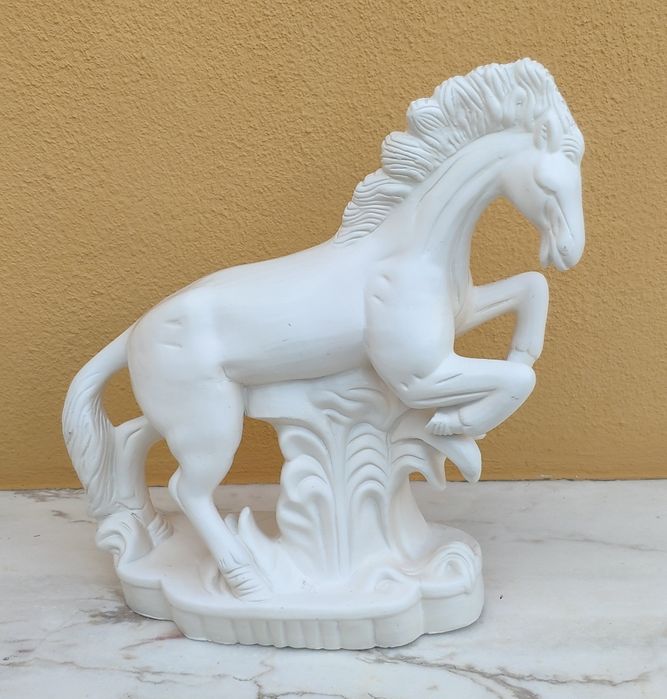 Cavalo Branco Selvagem