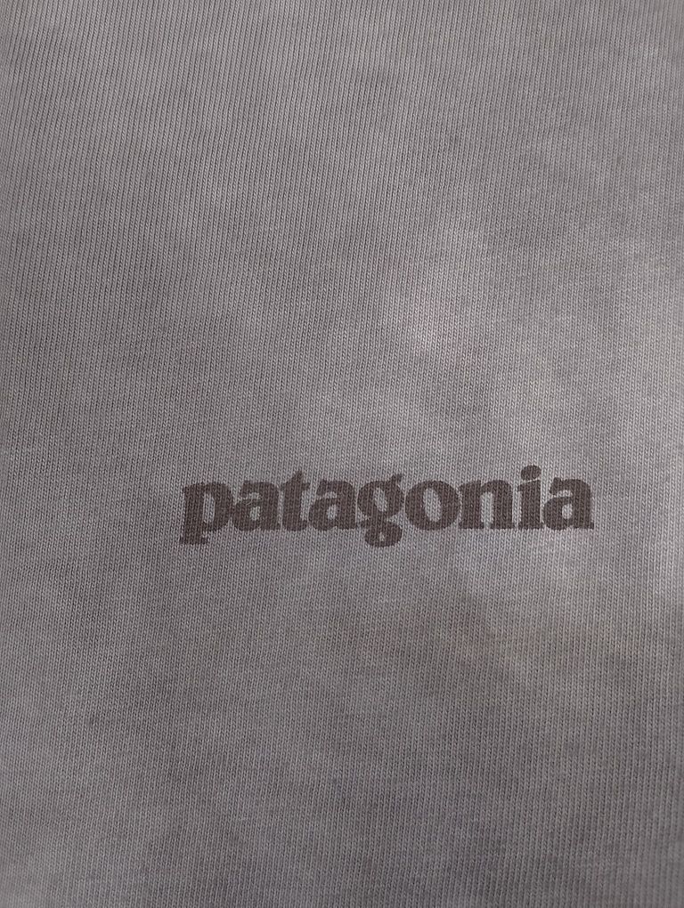 Лонгслів Patagonia custom