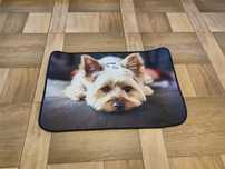 Nowy dywan mata 3d piesek 40x60