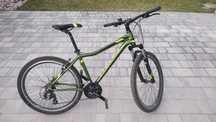 Rower Olinus Murano S 1.0