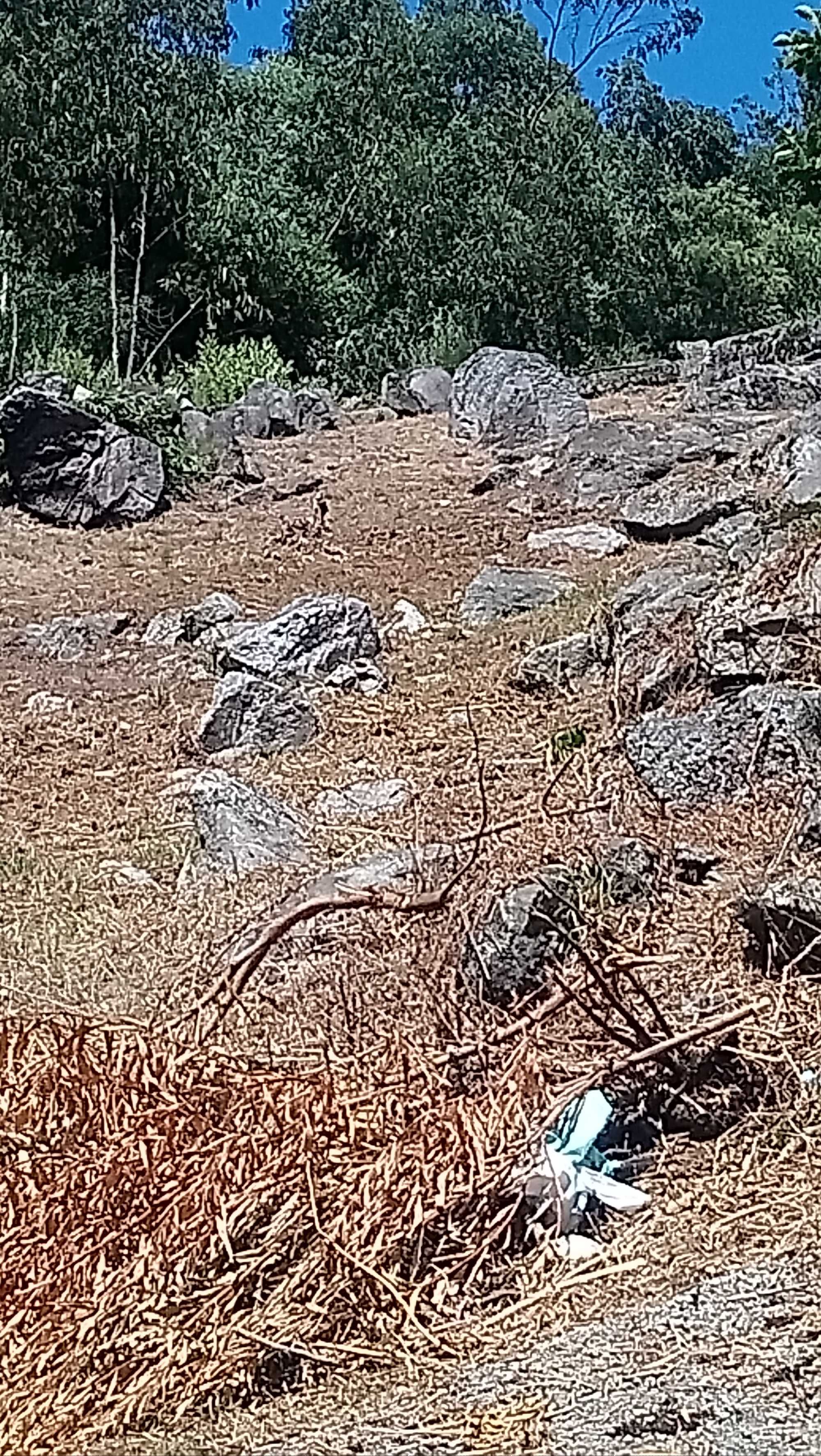 Lote terreno na cova meadela .