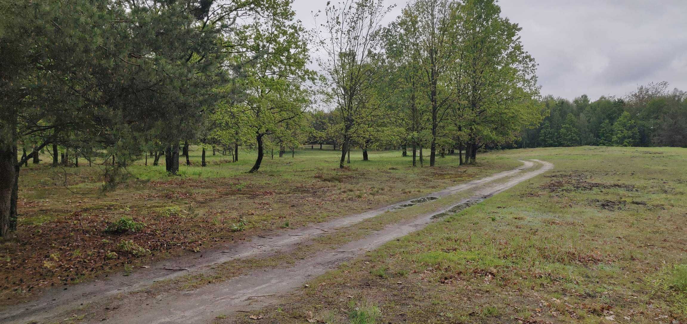 Działki rekreacyjne nad jeziorem Łukcze