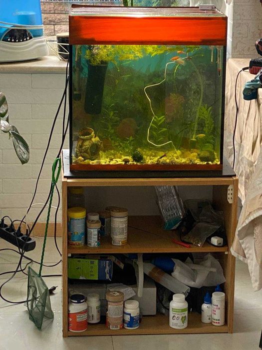 Продам .Акваріум. з тумбою.
