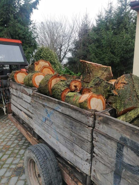 Sprzedam drewno opałowe – jabłoń + transport