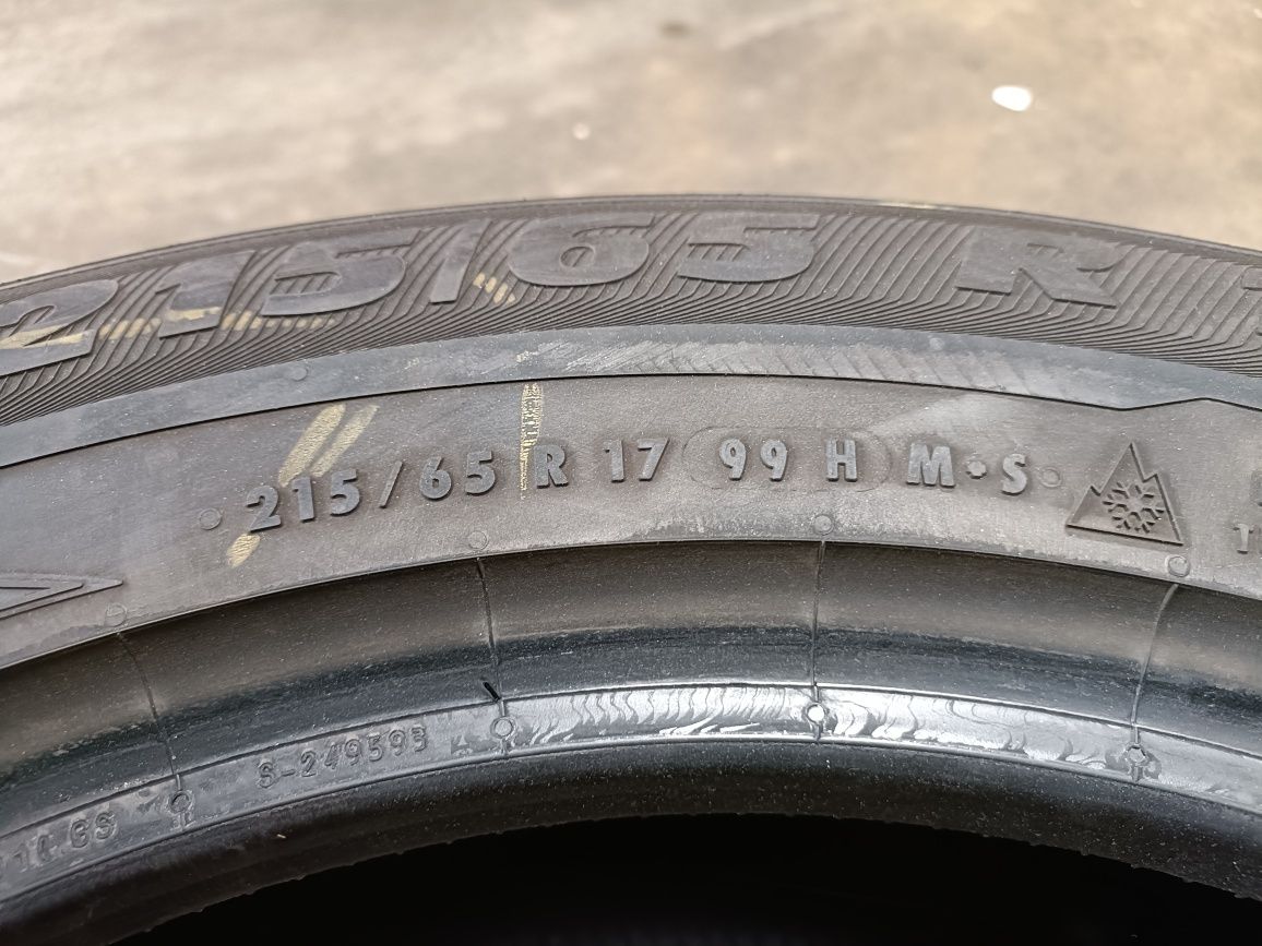 Opony zimowe Semperit Master-Grip 2 215/65R17 99H
