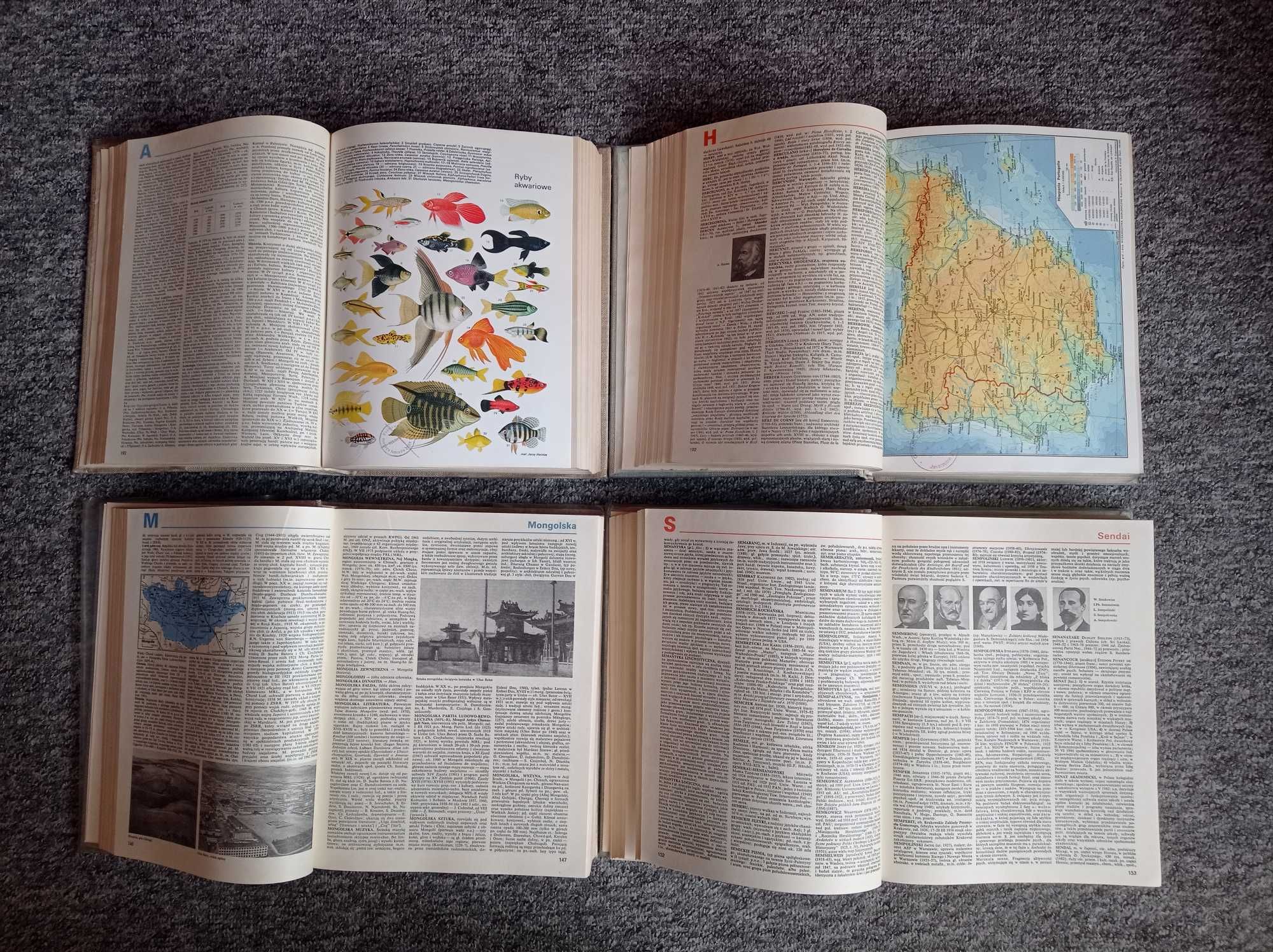 Encyklopedia Powszechna PWN tom 1-4, 1983