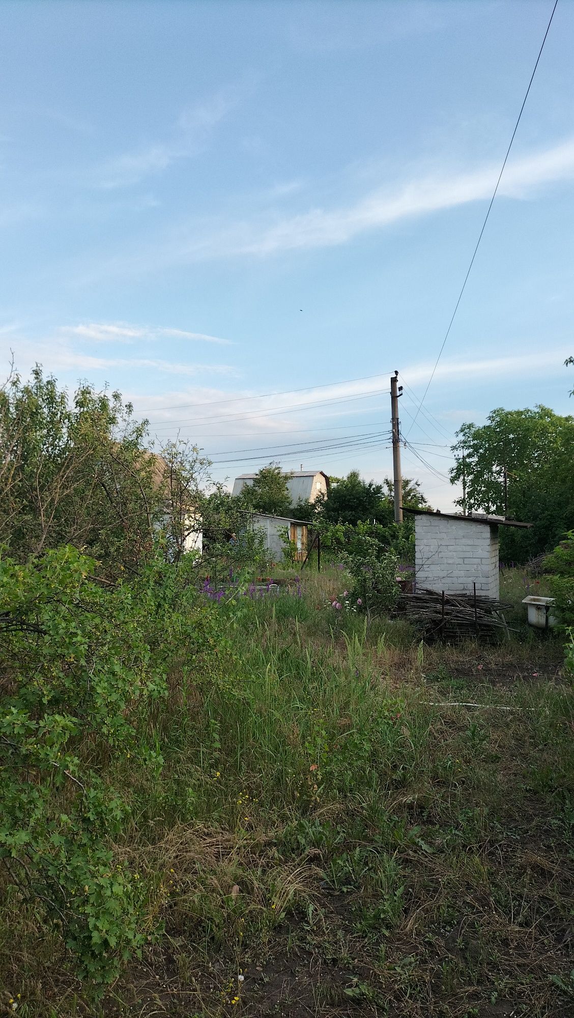 Дача "Автомобіліст"