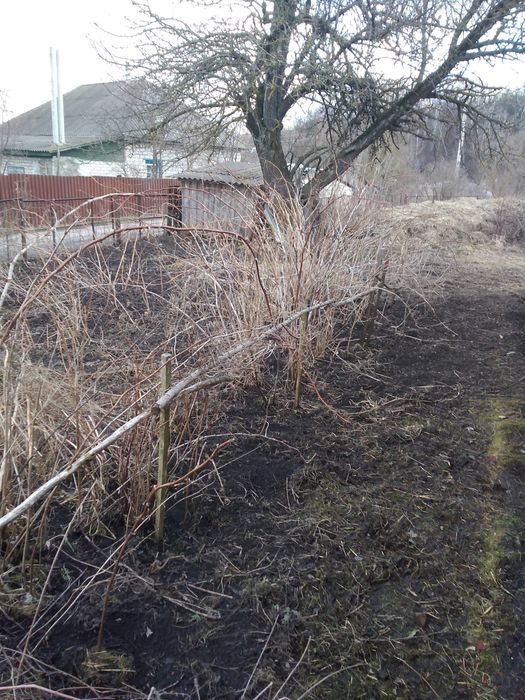 Гарний будинок в мальовничому селі...